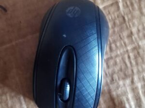 An HP mouse
