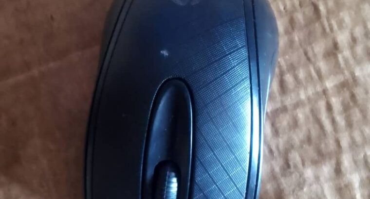 An HP mouse