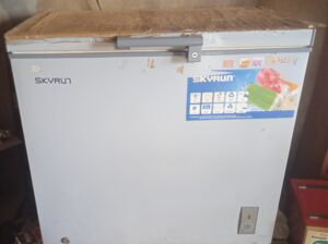 Skyrun Deep Freezer