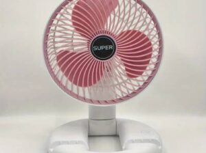 Rechargeable fan