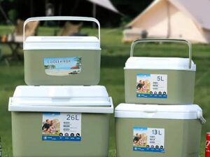 Cooler